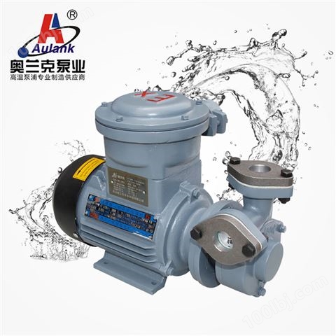 高低温油泵 水泵 防爆泵