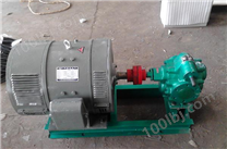 齿轮油泵-CHY齿轮油泵