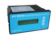 在线式紫外线强度监测仪RGM-UV5