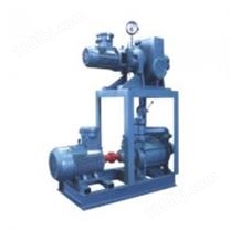 罗茨泵－水环泵机组